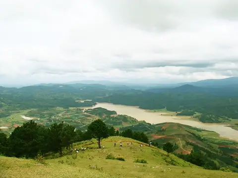 Đồi thông hướng Langbiang